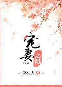 宠妻之路